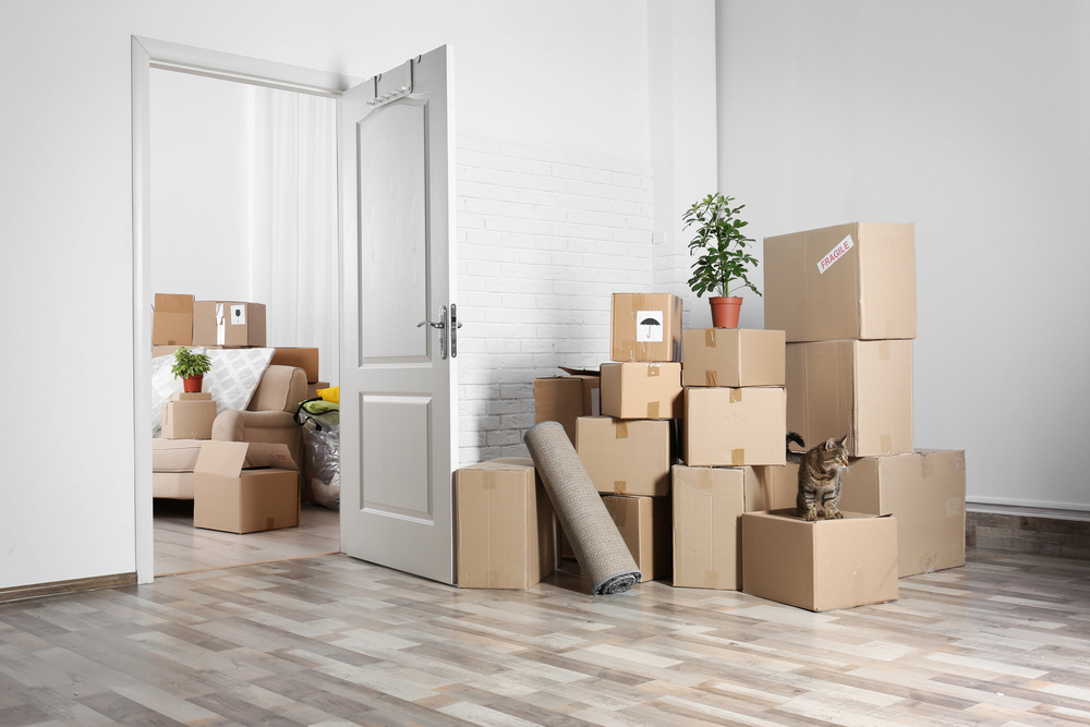 Residential and commercial moving services